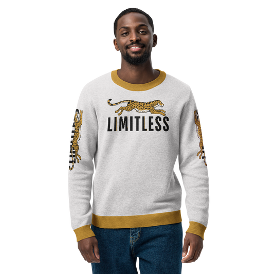 Limitless Knitted Crew Neck Sweater