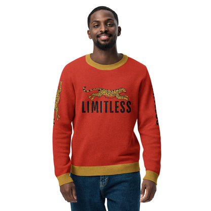 Limitless Knitted Crew Neck Sweater