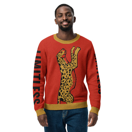 Limitless Knitted Crew Neck Sweater