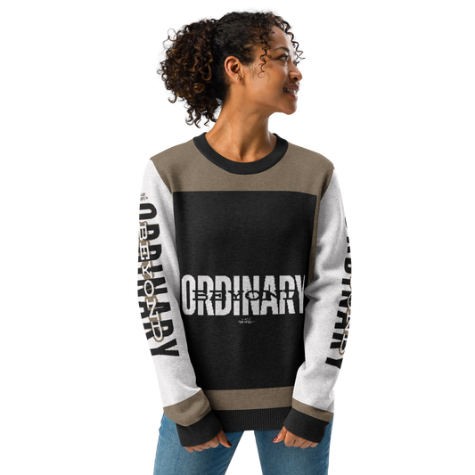 Beyond Ordinary Knitted Crew Neck Sweater