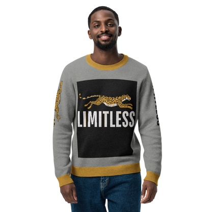 Limitless Knitted Crew Neck Sweater